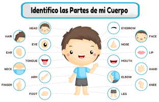 identificomicuerpo.milaulas.com