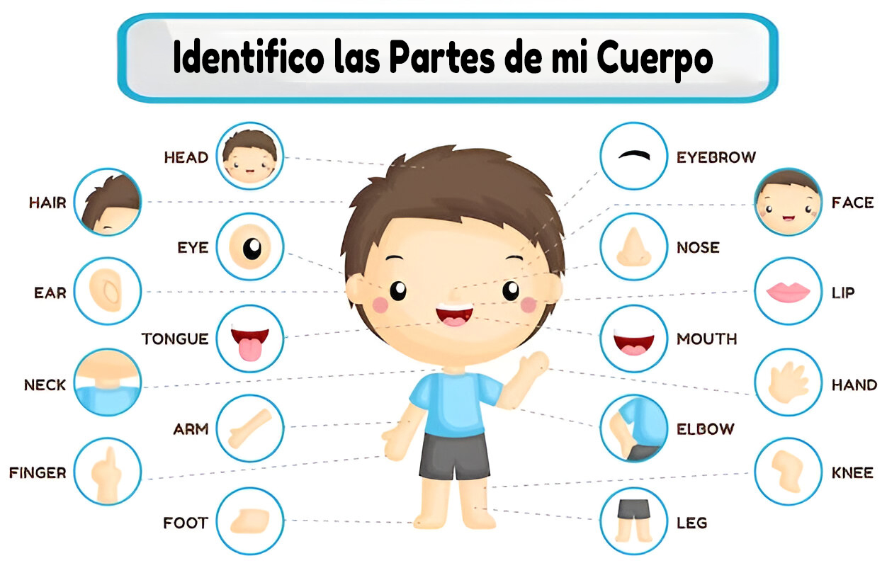 Identifico las Partes de mi Cuerpo